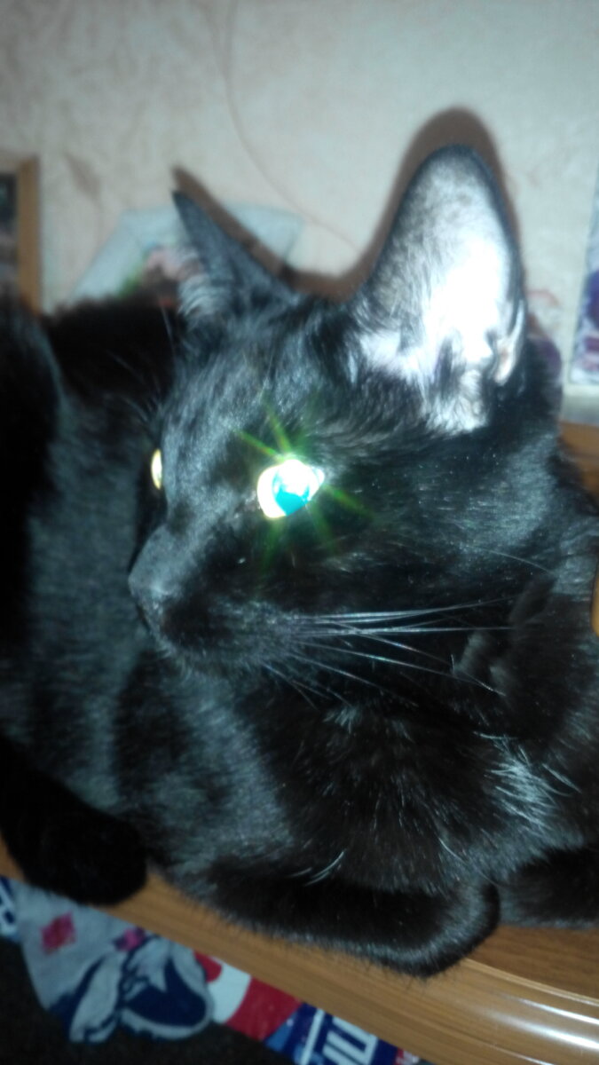 Наш Бабайка (из личного архива) 