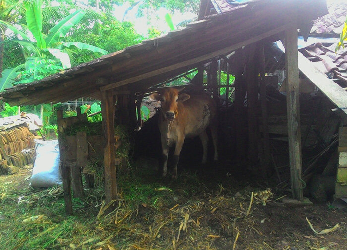 Вы меня звали?