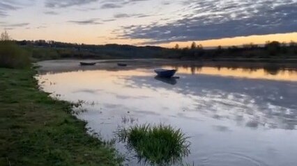 Кусочек природы для тех, кто вынужден сидеть в изоляции в городе