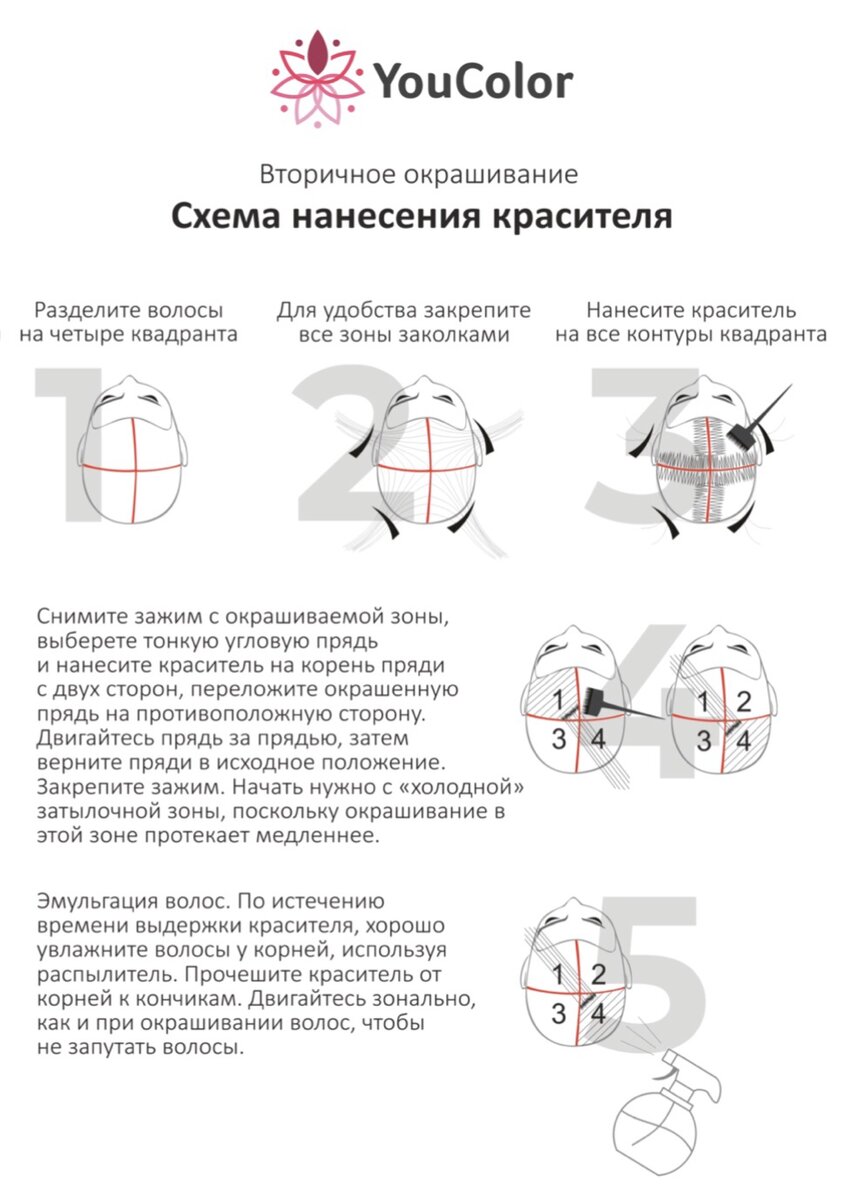 СХЕМА И ТЕХНИКА ОКРАШИВАНИЯ КОРНЕЙ ВОЛОС. | YouColor | Дзен