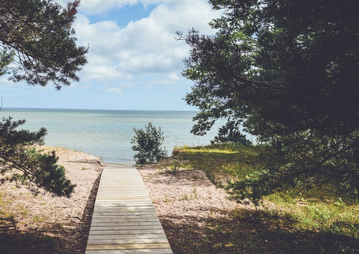 Море - часть экосистемы