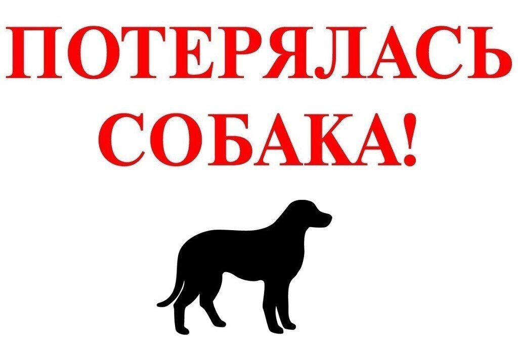 Картинка из открытого доступа.