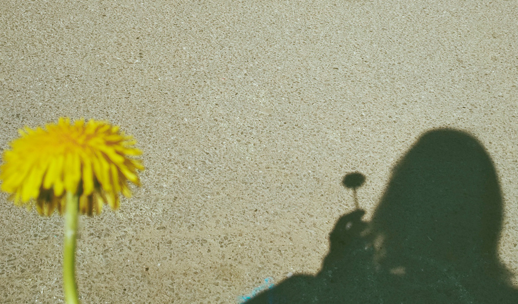 "Тёплые деньки" Фото автора