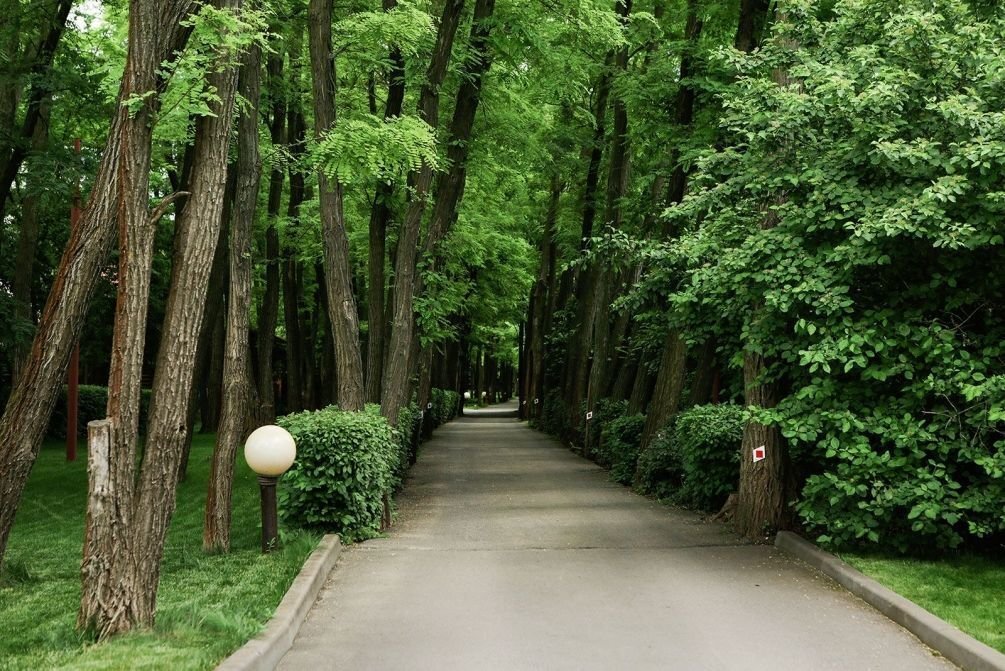 Фото из открытого источника Яндекс.Картинки