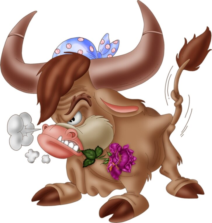 фото из Яндекс картинки 