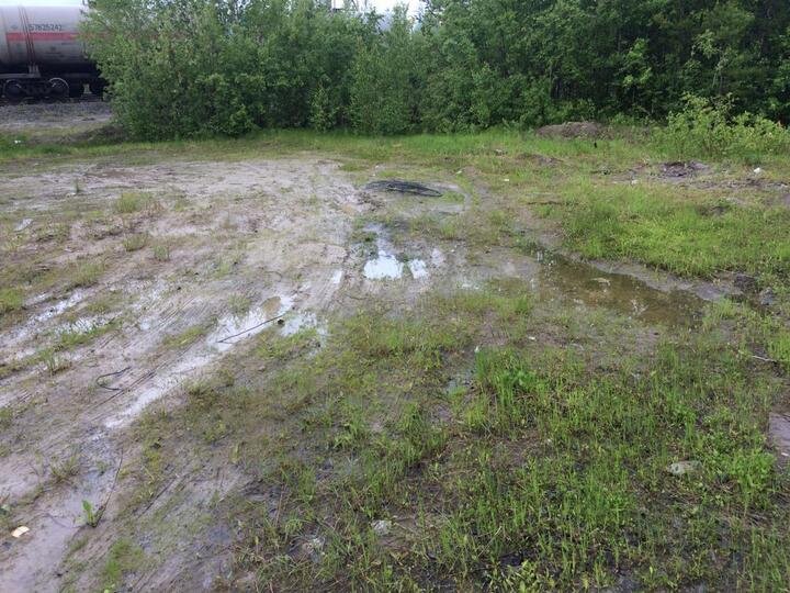 Теперь в лесополосе чисто. Фото: М.Видео