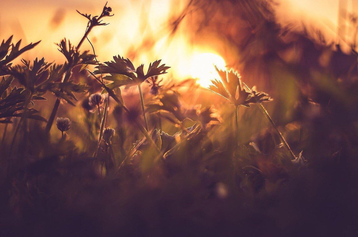 Фото взято из открытого источника