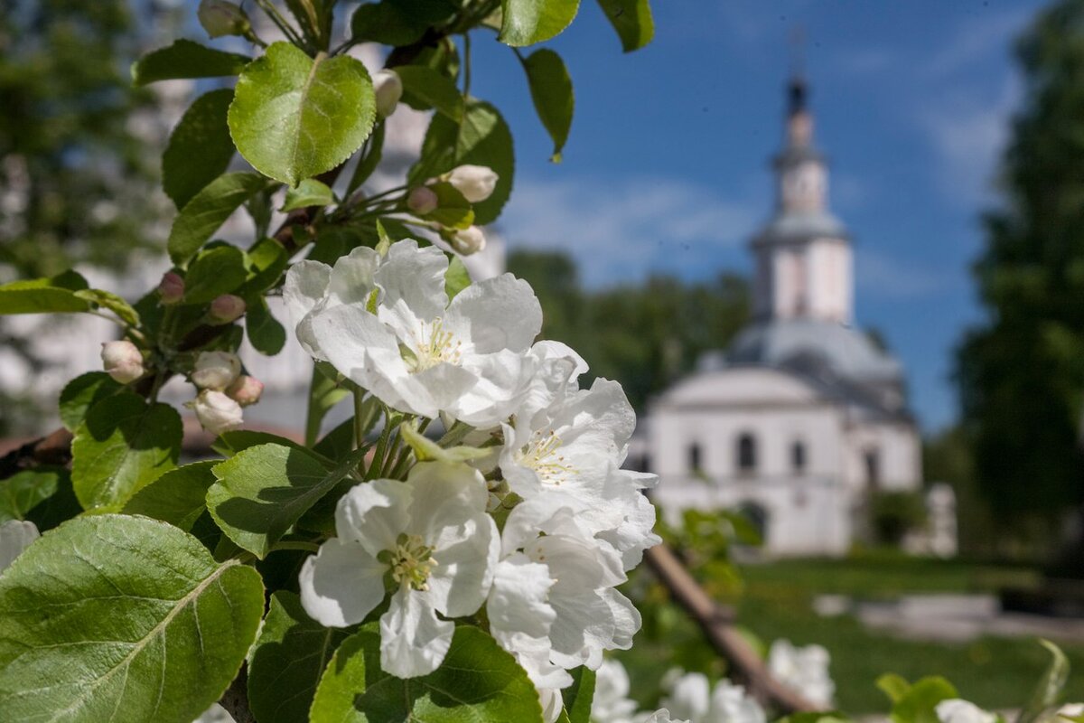 Православная Церковь весной