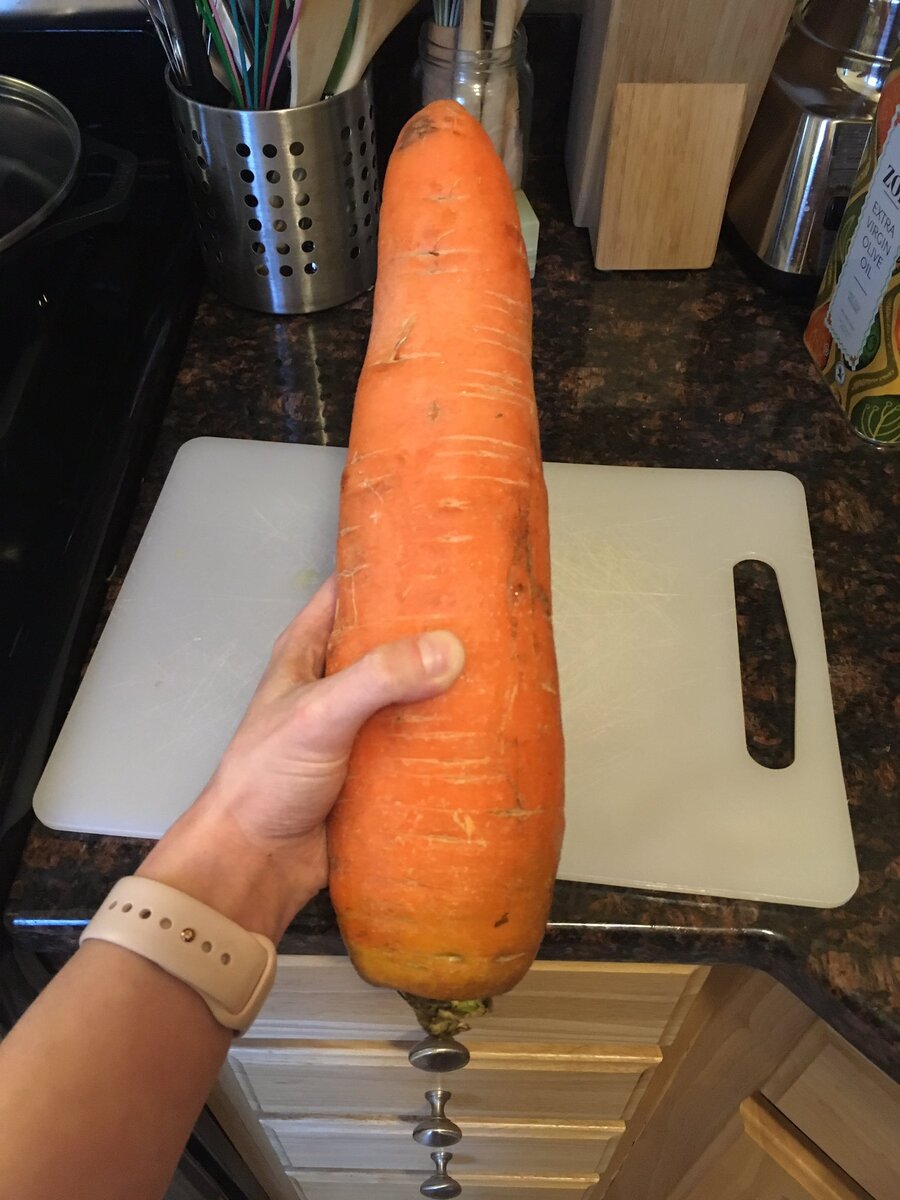 Огромная морковь