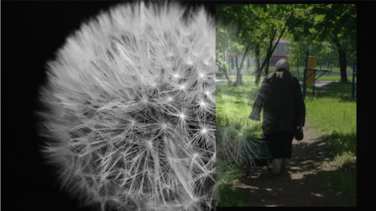 "Невыносимая лёгкость бытия"  (Милан Кундера)