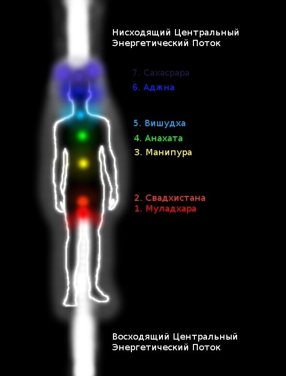 Поток энергии через человека. Центральные энергетические каналы восходящий и нисходящий. Нисходящие и восходящие потоки энергии в теле человека. Восходящий и нисходящий поток энергии человека. Чакры движение потоков энергии.