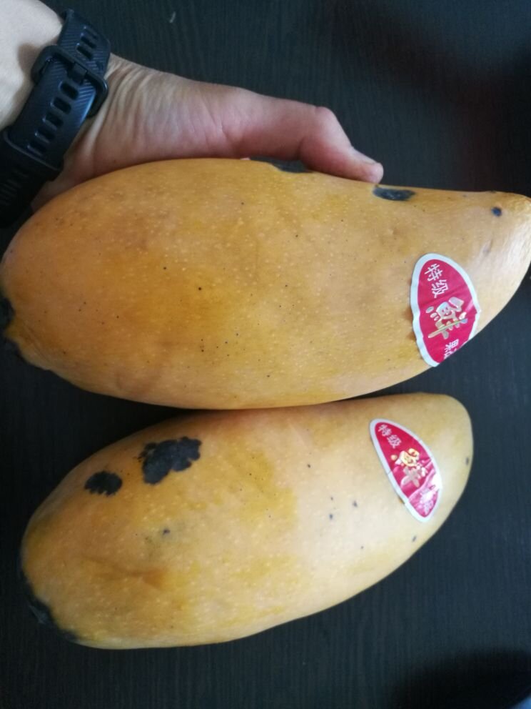 Его величество Манго!