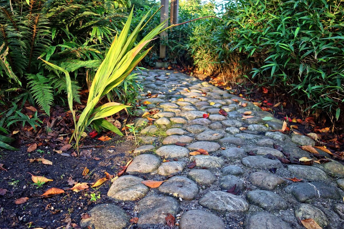 Cobbled path