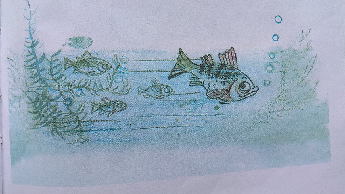 картинка из книги