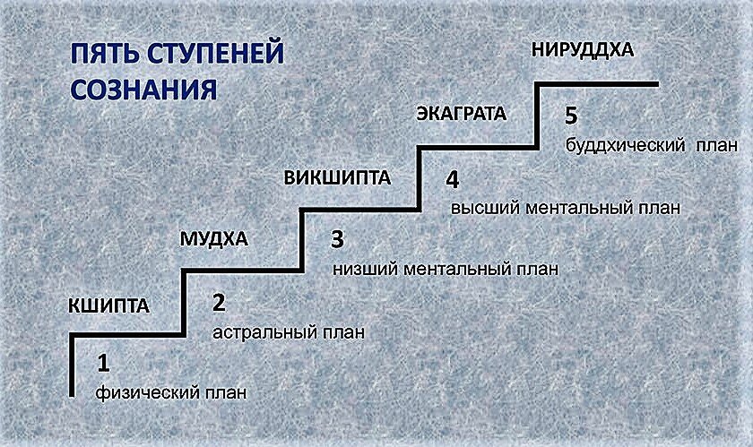 Общий план. Чертеж по дому. Планы бытия тета-хилинг. Планы бытия человека. Казуальный план.