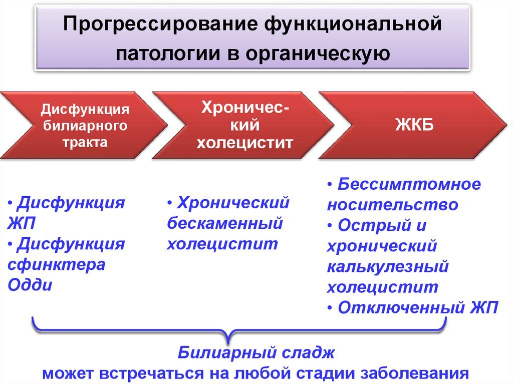 Дисфункция билиарного тракта у детей презентация