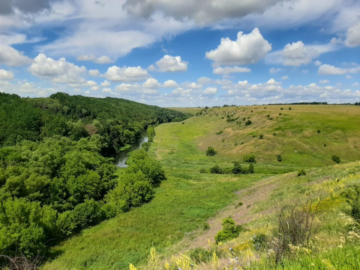 Малые реки черноземья