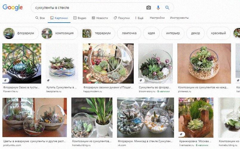 Скрин из Гугл-поисковика по запросу "суккуленты в стекле"