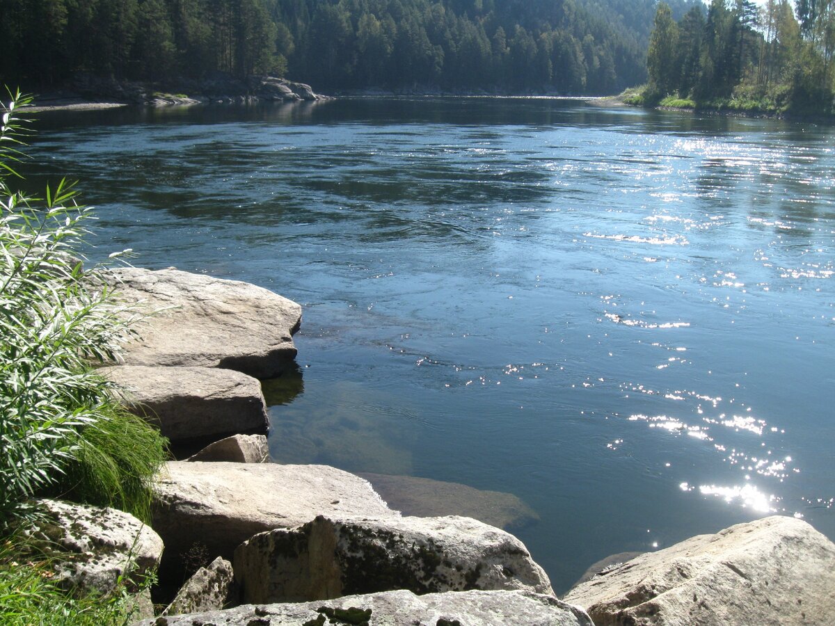 Направление реки бия. Река Бия Турочак. Река Бия Алтай. Река Бия рыбалка. Камень любви на реке Бия.