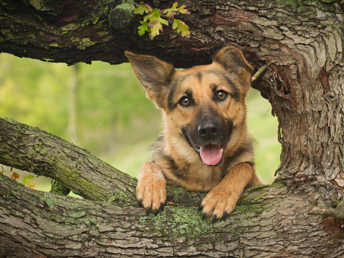 Фото взято Интернета