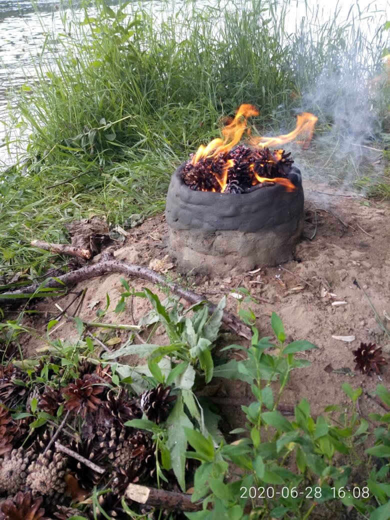 Обжег шишками
