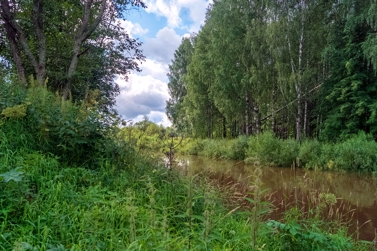 Фото павино костромской области