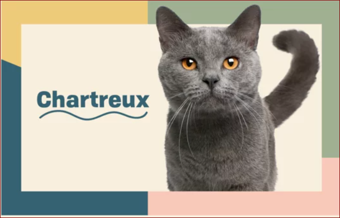 Источник: https://www.marthastewart.com/
