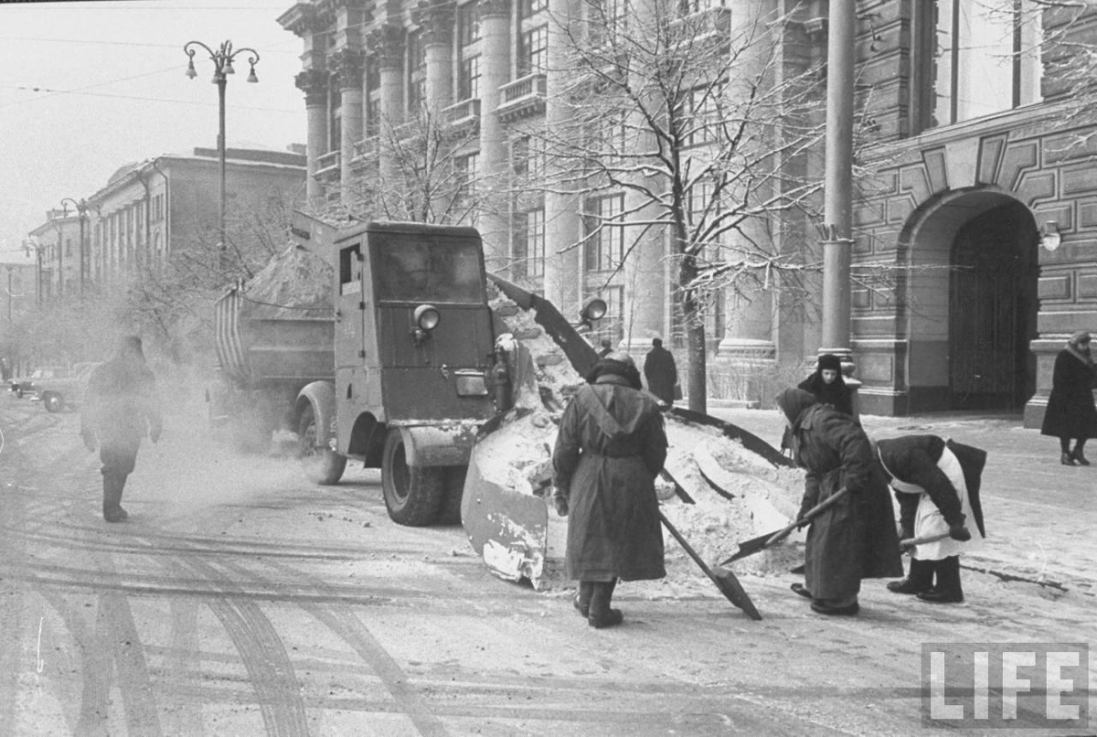 все голые девочки без трусов