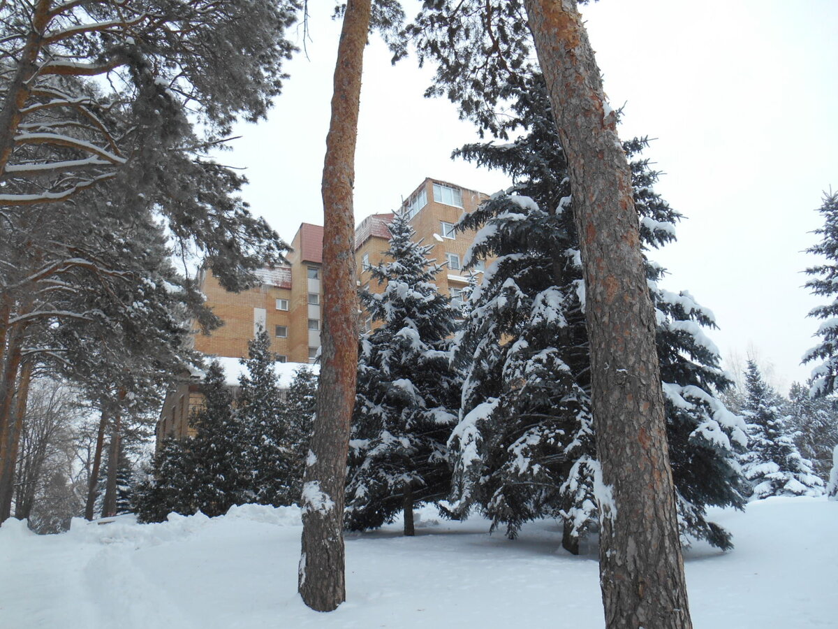 жилой корпус