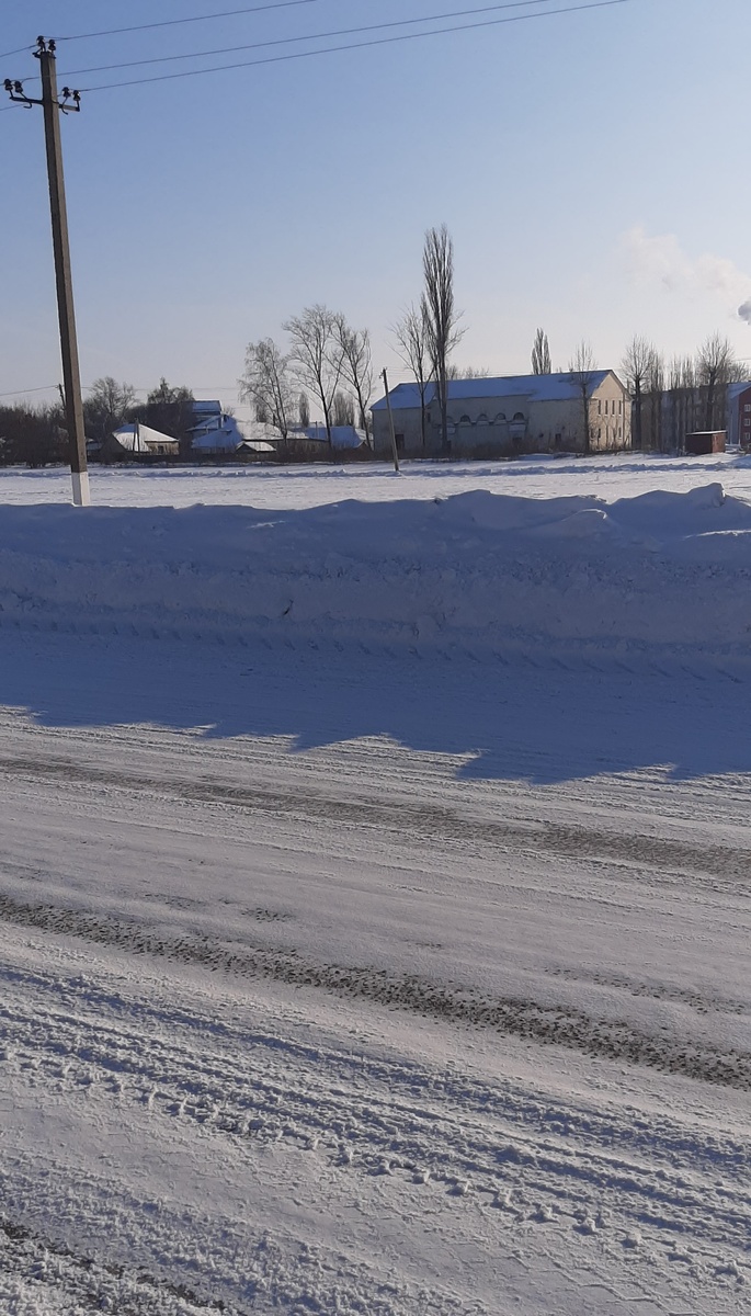 Личный блог - это свобода! Фото из личного архива