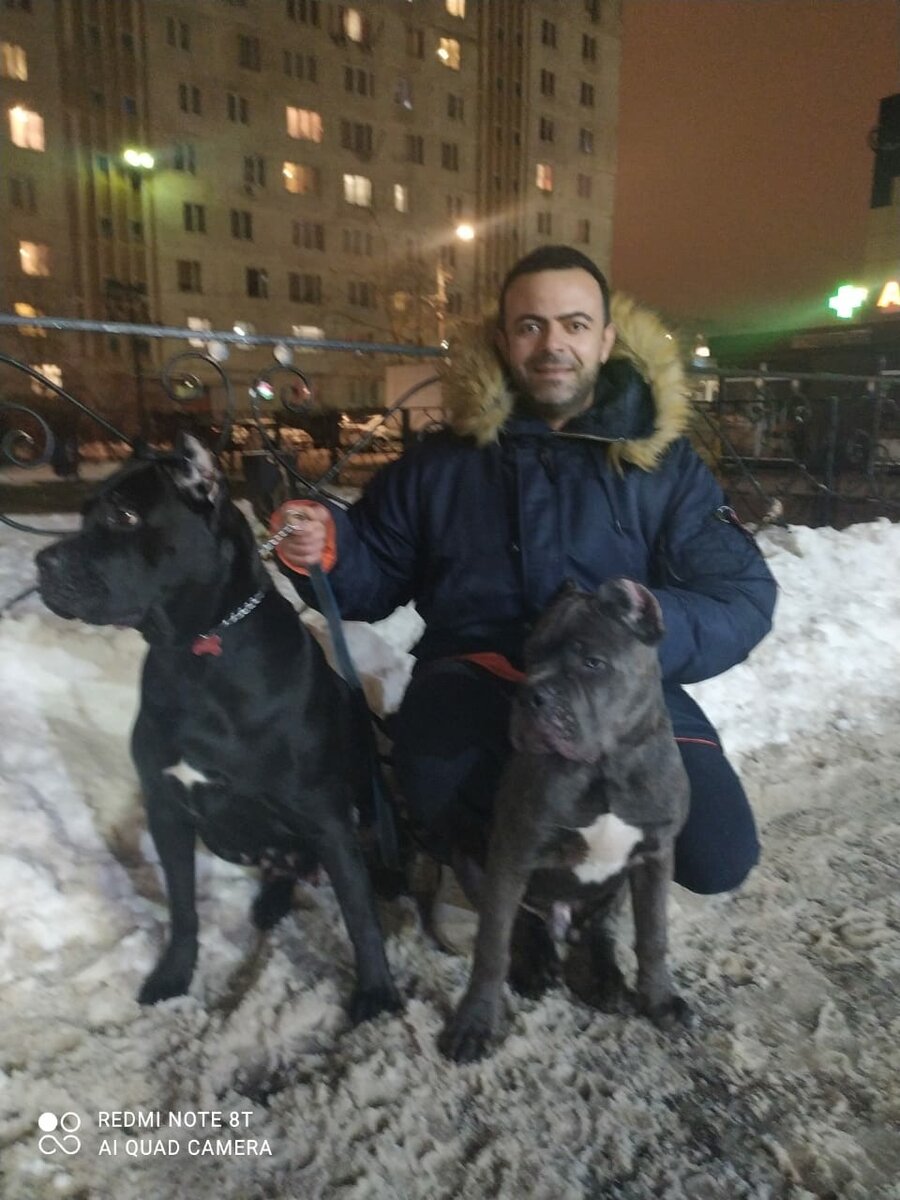 Камиль и Кане-корсо