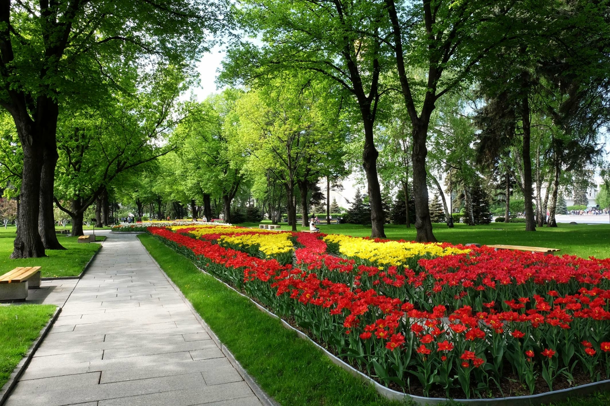 Фото из интернета