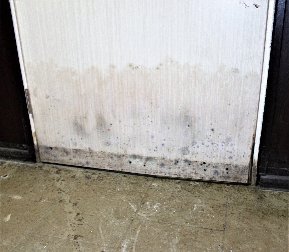 Последствия затопления