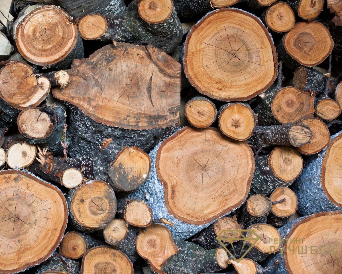 Дрова - один из самых экологичных вариантов топлива