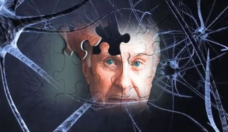 Источник фотографии: Яндекс. Картинки