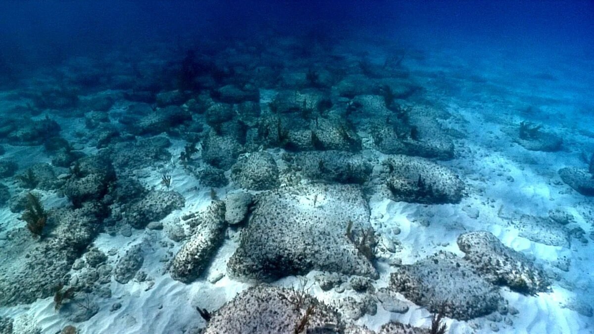 Источник: yandex.ru