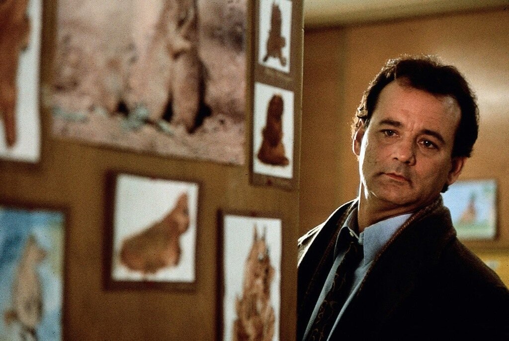 Источник: Яндекс. Картинки