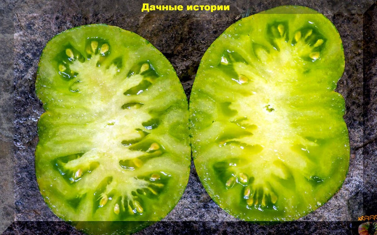 Помидор Ксанаду зеленая богиня