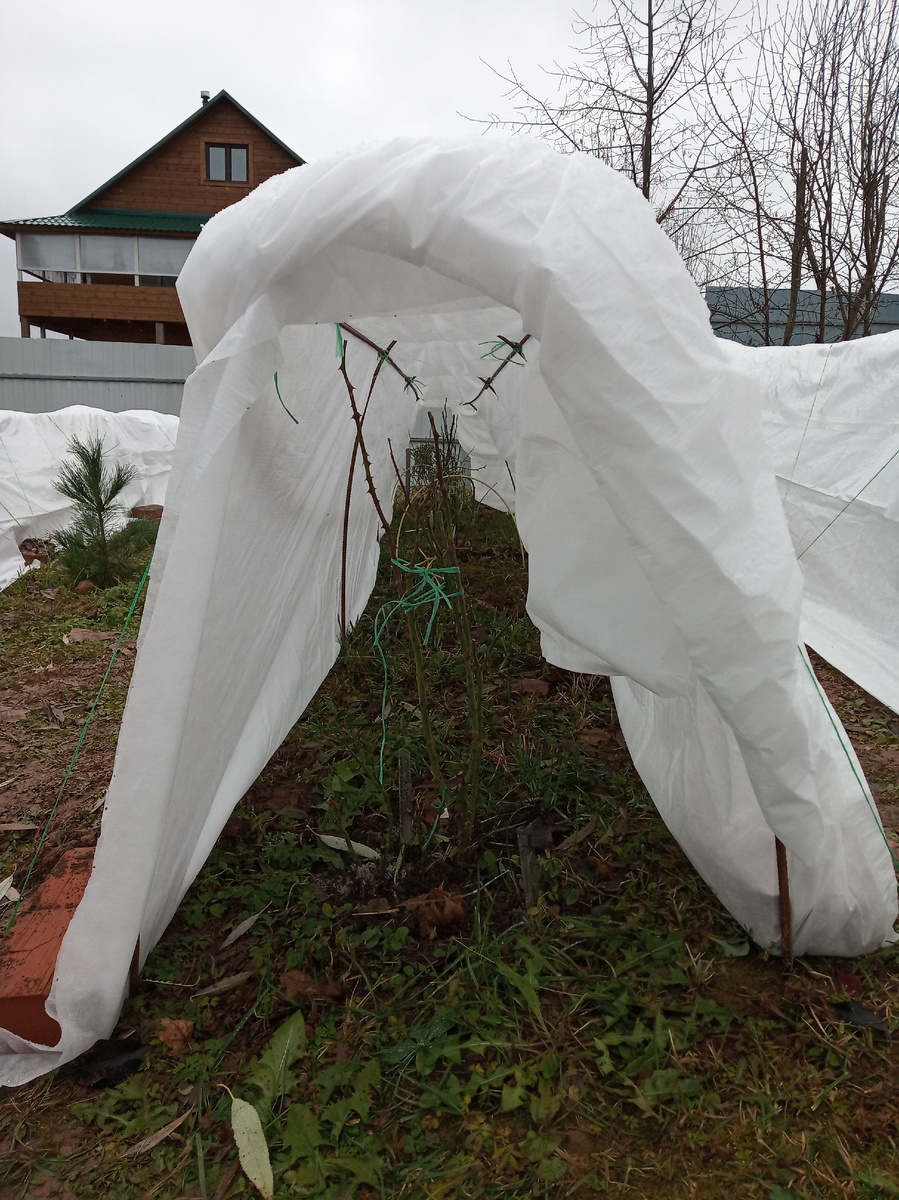Воздушно-сухое укрытие.