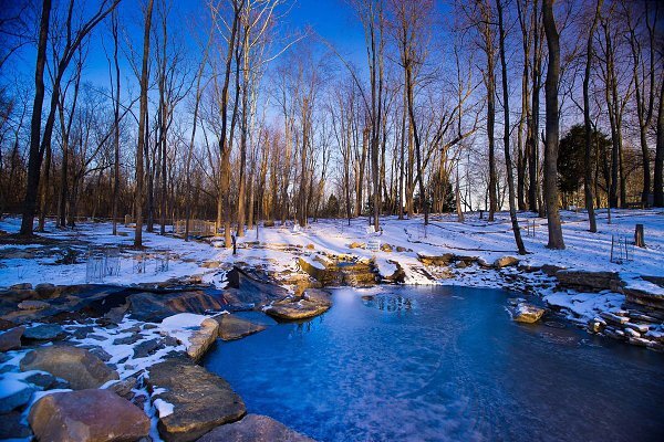 Фотография из открытых источников Интернет