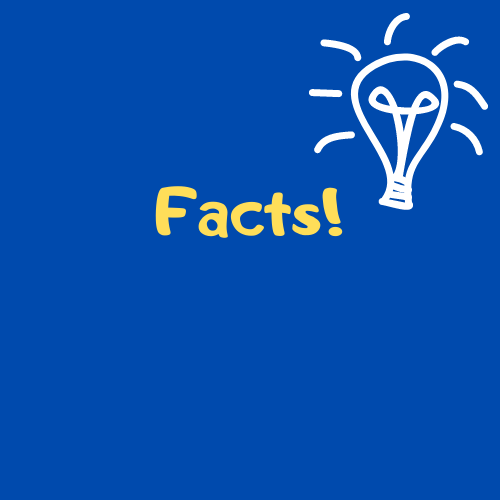 Открой для себя много нового!