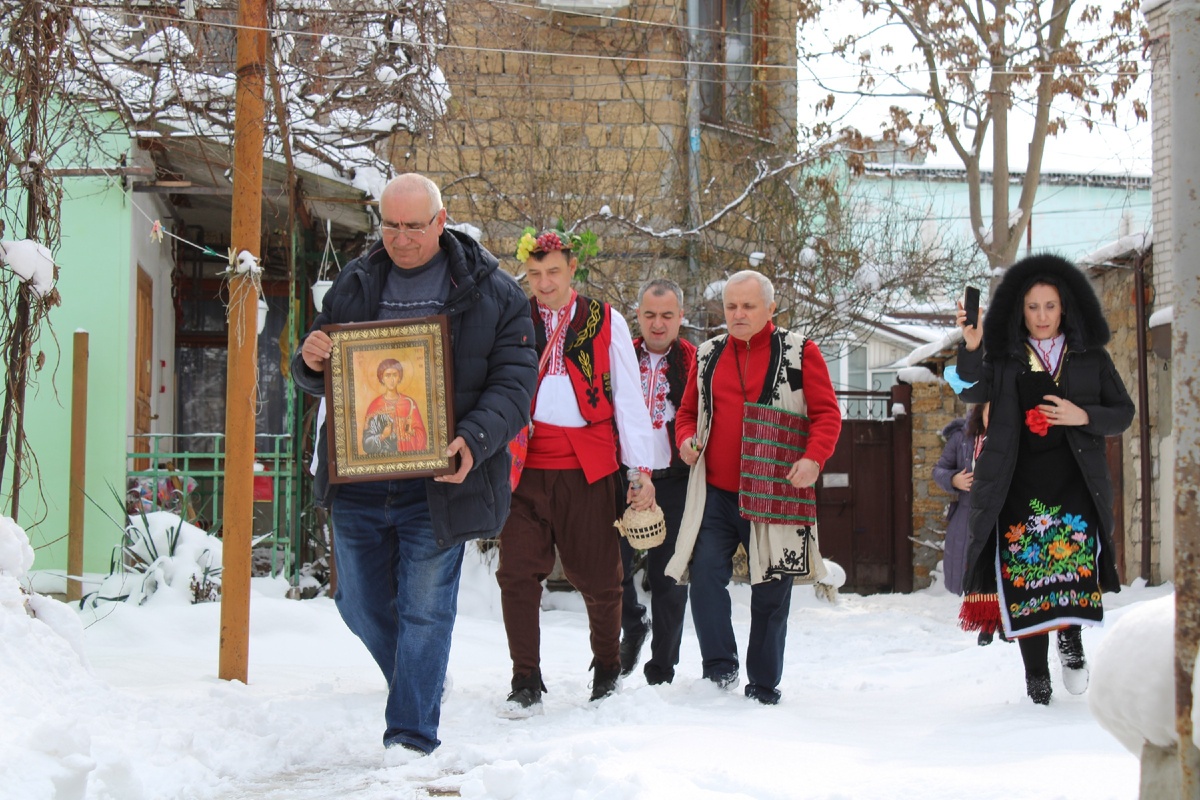 Далеко идти не пришлось — лоза растёт  во дворе культурного центра «Извор»