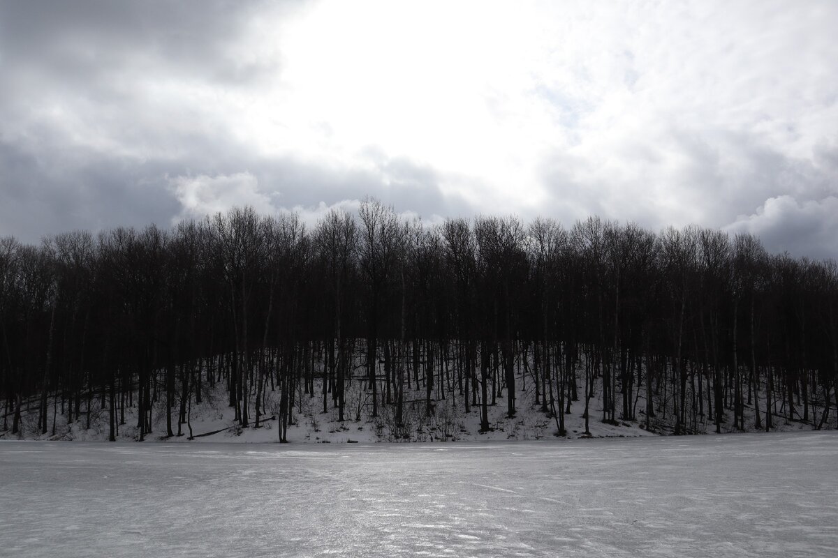 Весенний пруд скованный льдом