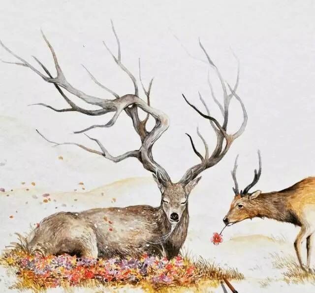 Яндекс картинки