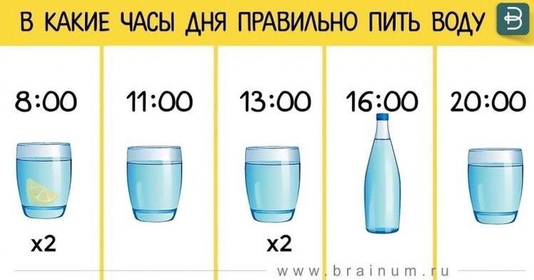 суточная норма воды в день