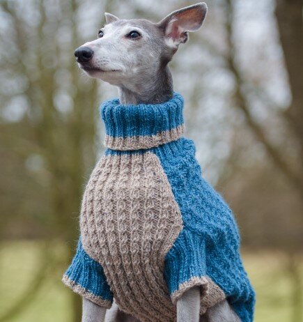 Базовый свитер для собак малых пород: Мастер-Классы в журнале Ярмарки Мастеров