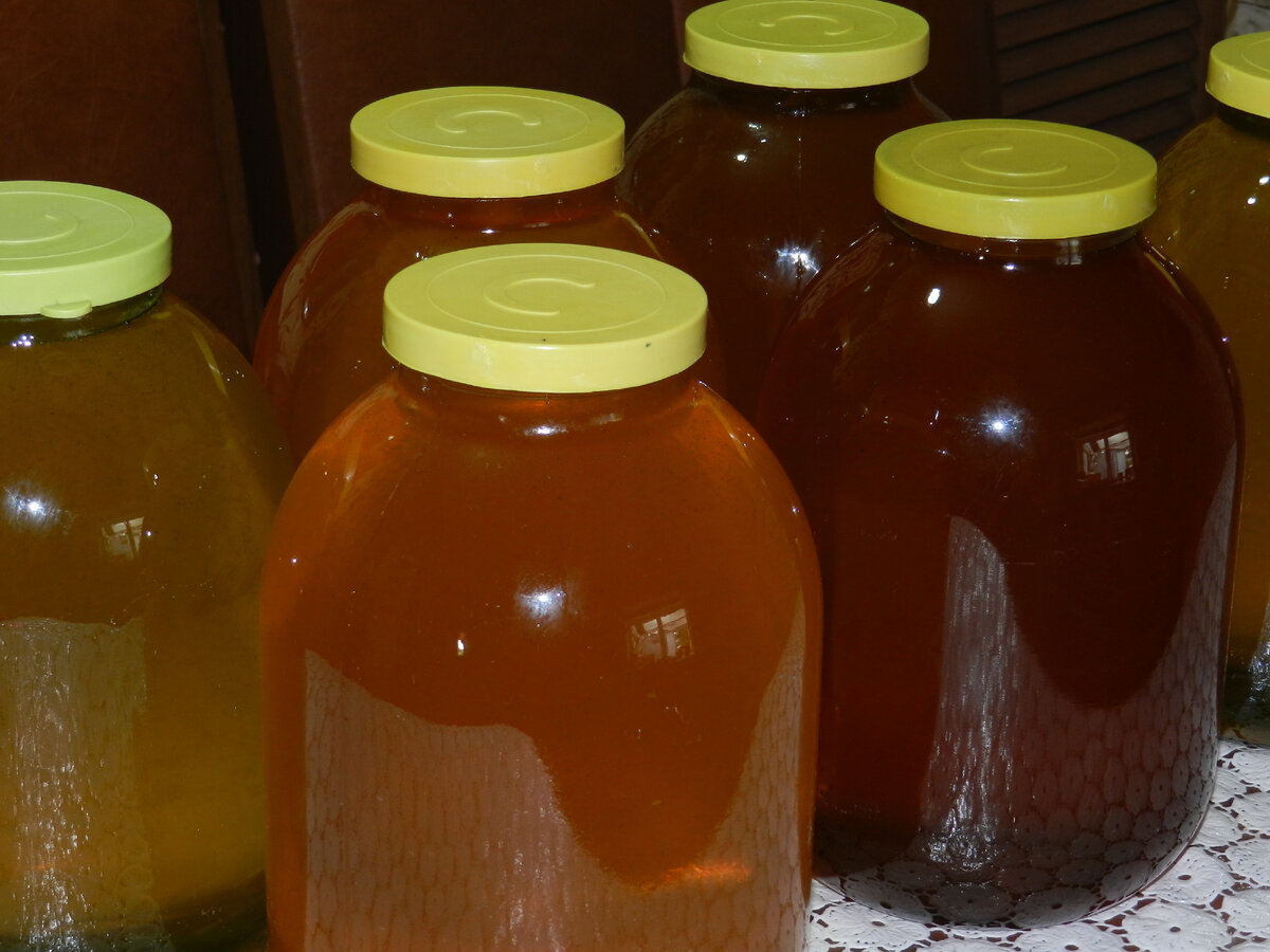 Сколько хранить мед