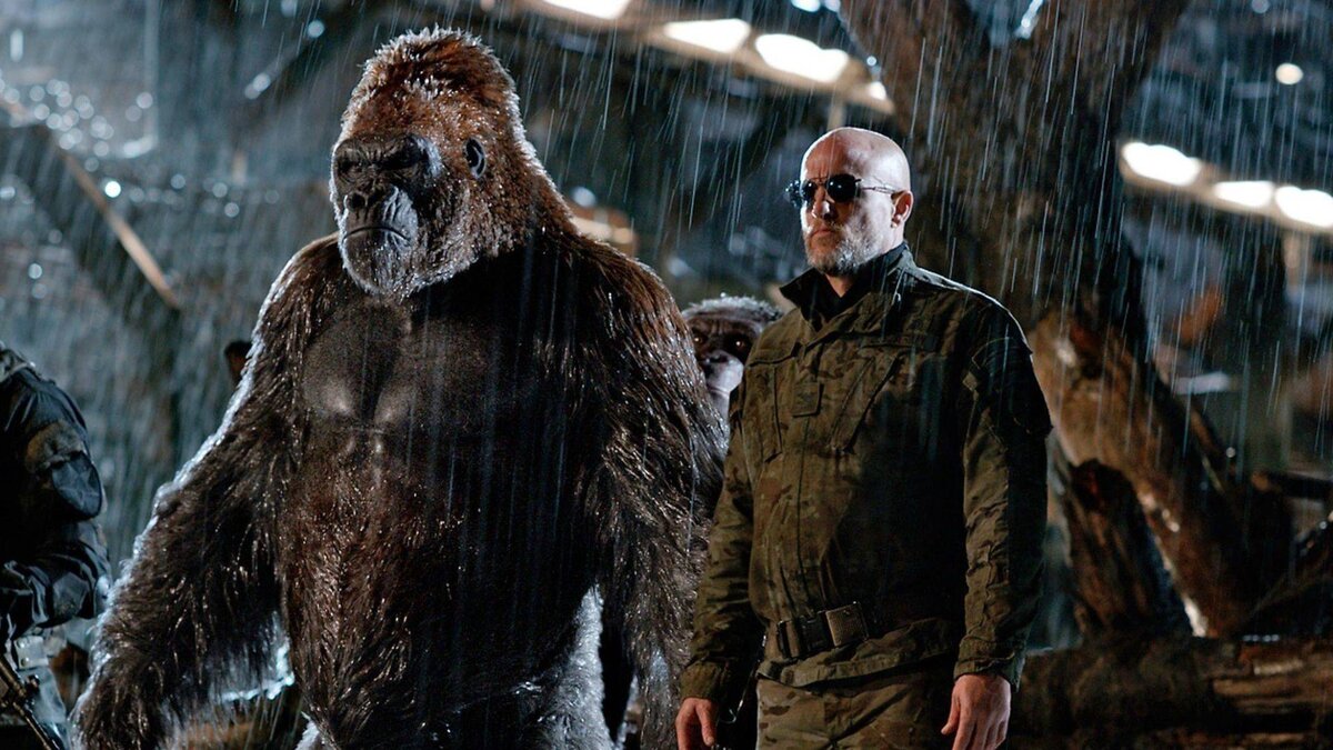 Кадры из фильмов