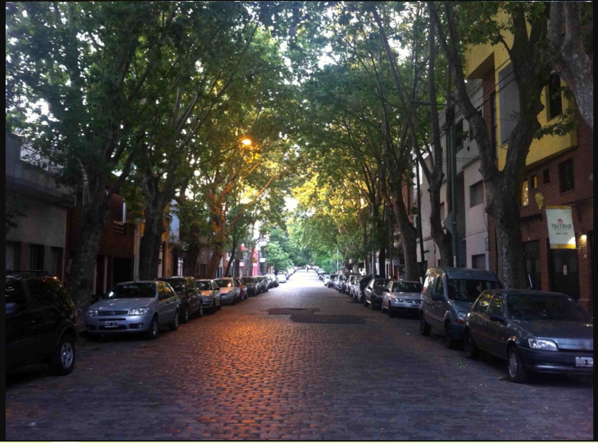 Палермо считается самым известным и популярным районом Буэнос-Айреса для туристов.