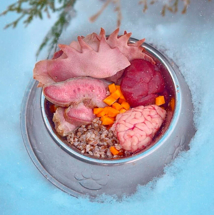 Миска дня :)